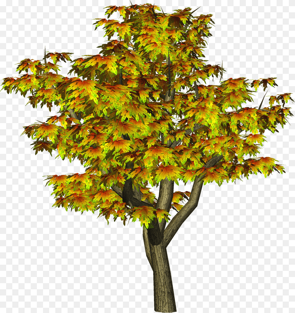 Maple Tree Clipart Jpg Royalty Library Autumn Autumn Tree Hd, Leaf, Plant, Chandelier, Lamp Free Png