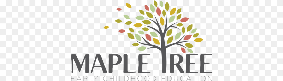 Maple Tree Education Illustration, Art, Floral Design, Graphics, Pattern Free Png