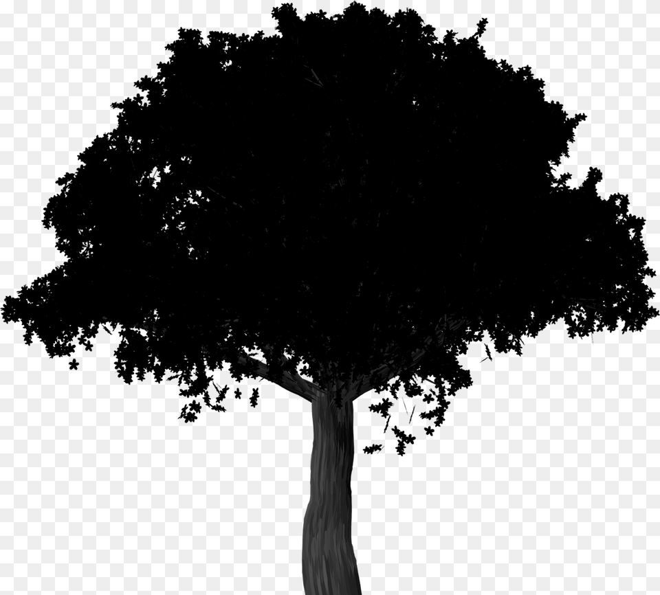 Maple Tree Illustration, Silhouette, Black Free Transparent Png