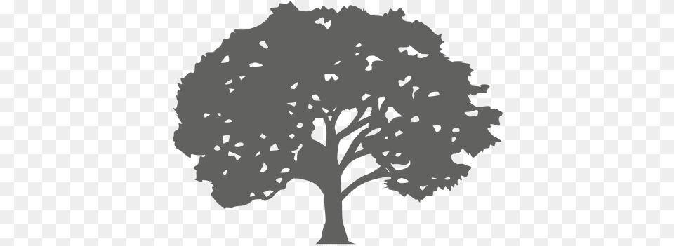 Maple Tree Silhouette 1 Transparent U0026 Svg Vector File Maple Tree Silhouette, Plant, Oak, Art, Baby Free Png Download