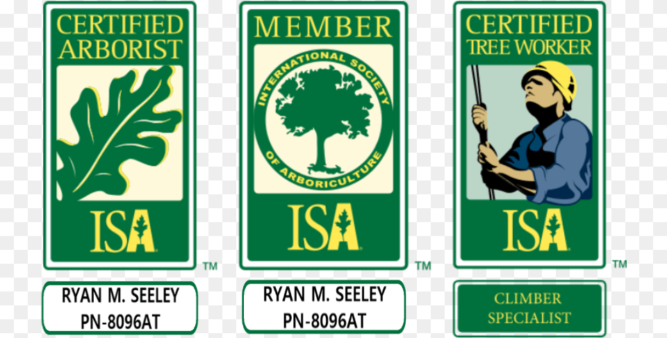 Maple Valley Tree Service Info Isa Certified Arborist Clip, Advertisement, Poster, Baby, Person Free Png