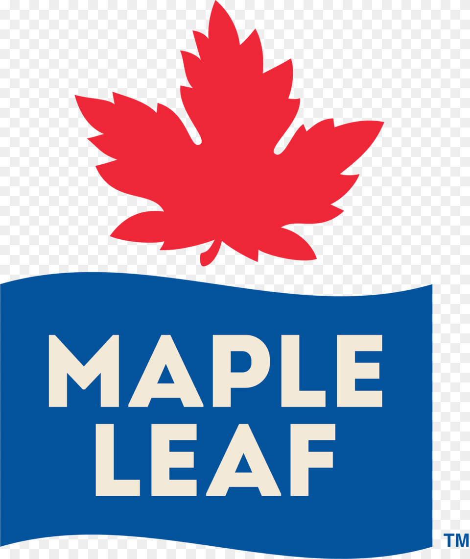 Mapleleaf Logo Pms Tm, Leaf, Plant, Tree, Animal Png