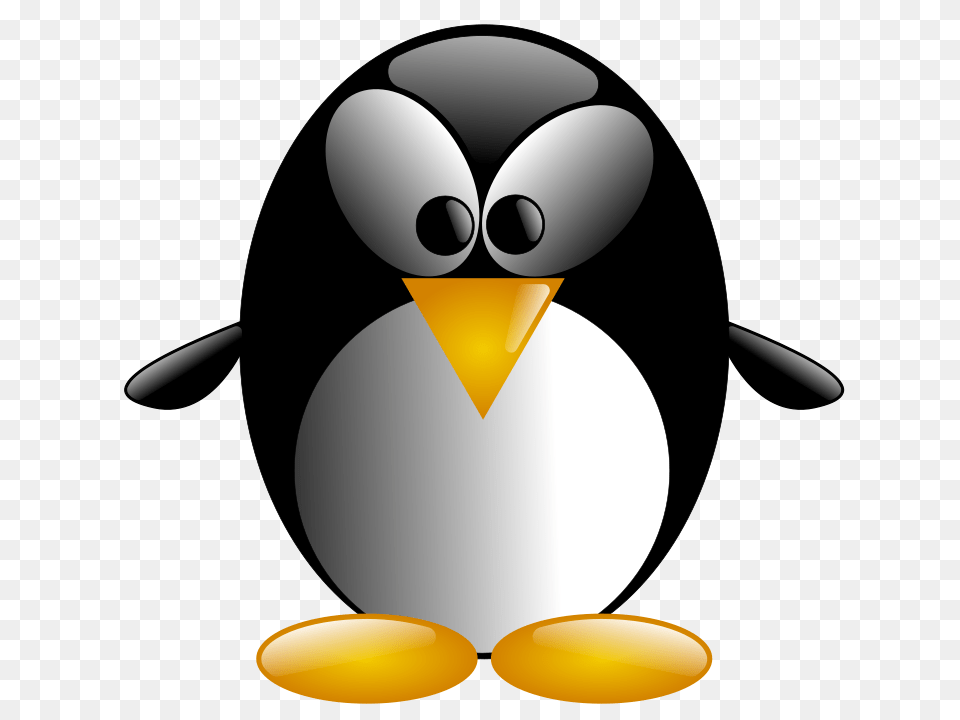 Maqndon Mytux, Animal, Bird, Penguin, King Penguin Free Png Download