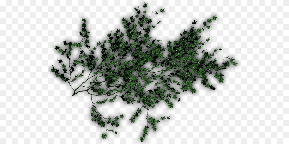 Mar Photoshop Creeper Plants, Plant, Green, Leaf, Vegetation Free Transparent Png