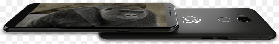 Mara Phone, Mobile Phone, Electronics, Animal, Mammal Png Image