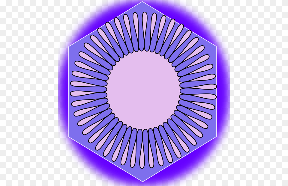 Mara Sara Y Eduardo Molecular Dimension Of Oleic Acid, Purple, Coil, Spiral, Rotor Png Image
