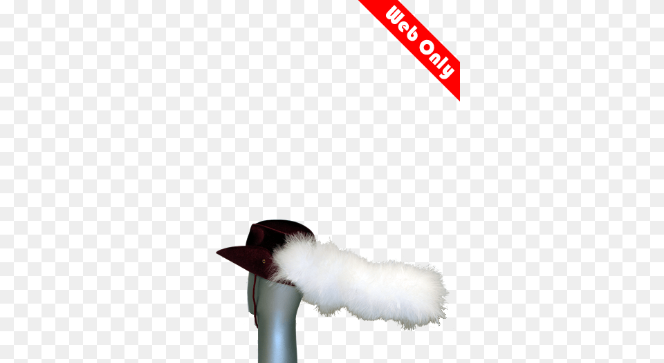 Marabou Cavalier Plume Cat, Clothing, Hat Free Png