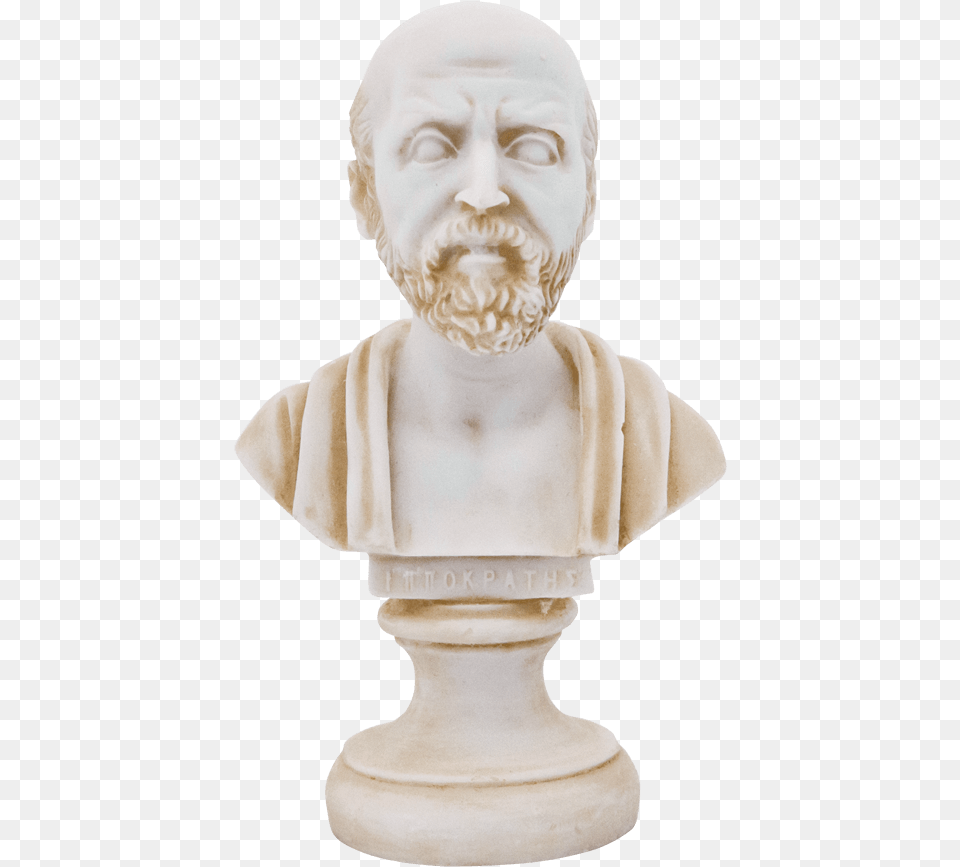 Marble Bust, Art, Adult, Male, Man Png Image