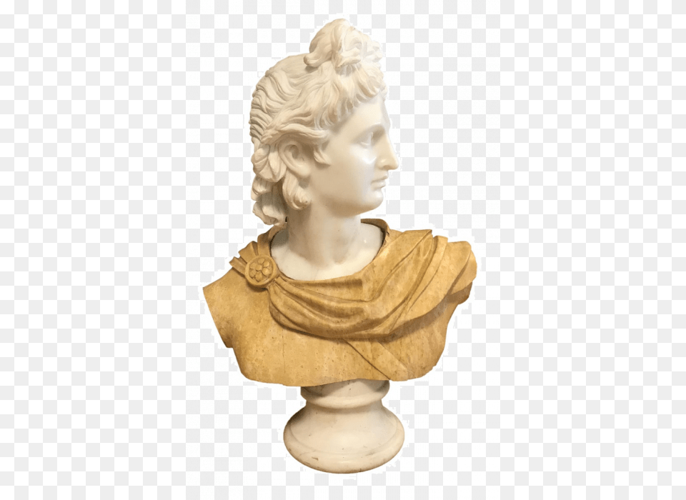 Marble Bust, Art, Adult, Female, Person Png