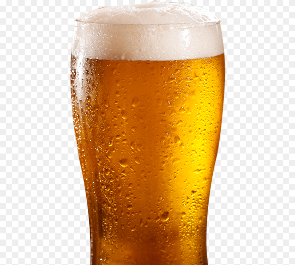 Marble Red Ballast Point Sculpin Ipa Lagunitas Ipa Accept No Substitute The Definitive Hits, Alcohol, Beer, Beer Glass, Beverage Png Image