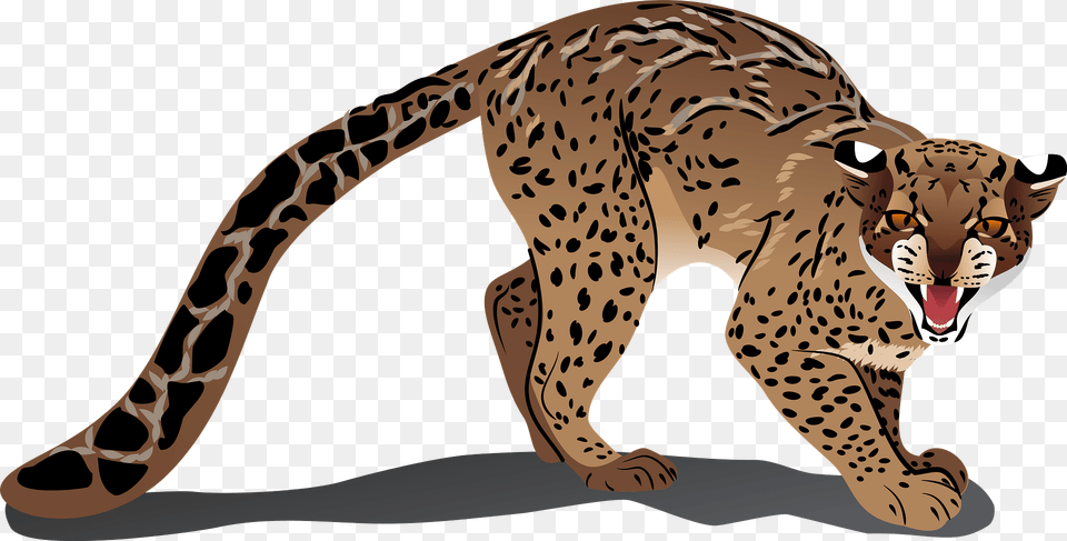 Marbled Cat Clipart, Animal, Cheetah, Mammal, Wildlife Png