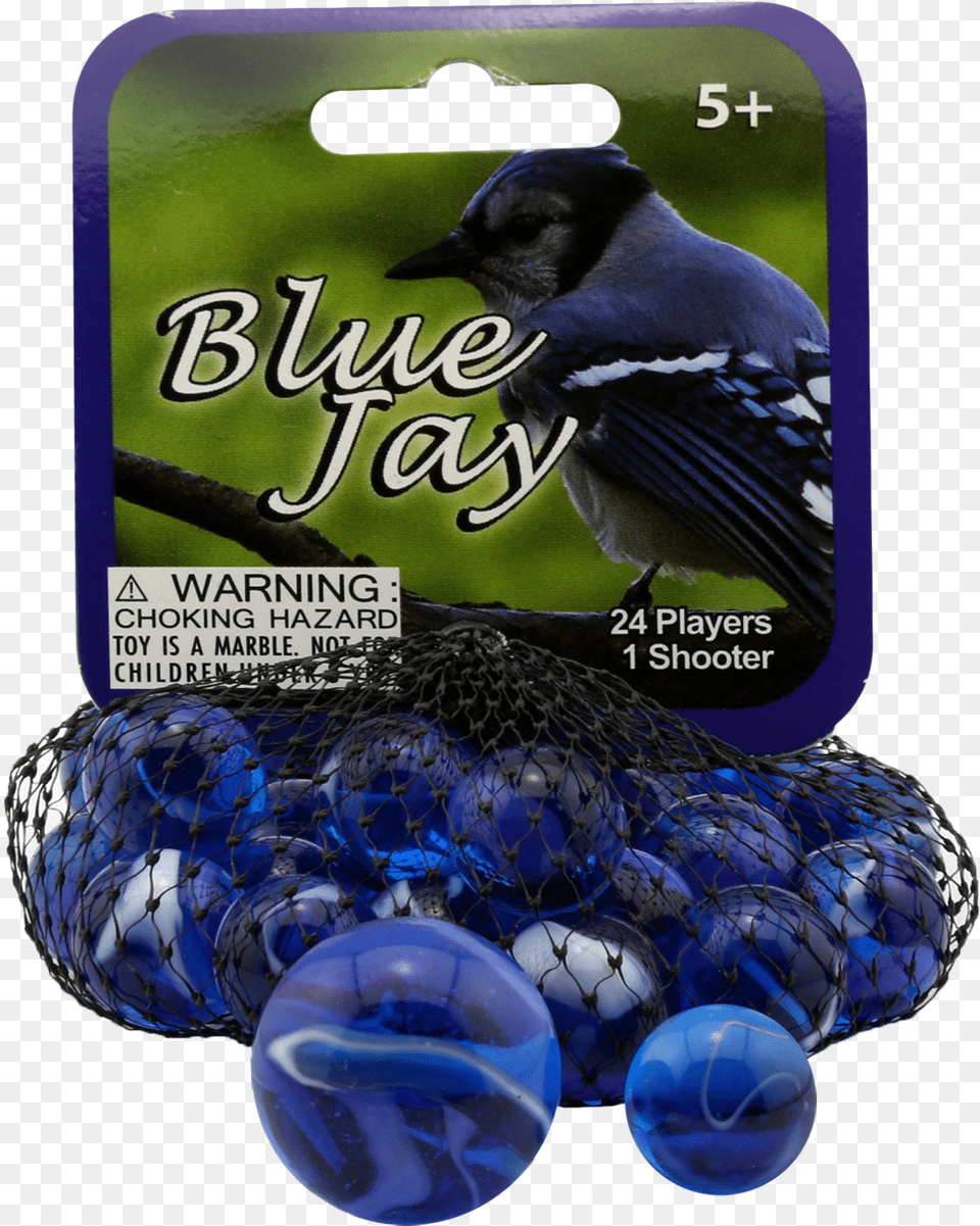 Marbles Blue Jay, Animal, Bird, Blue Jay, Bluebird Free Transparent Png