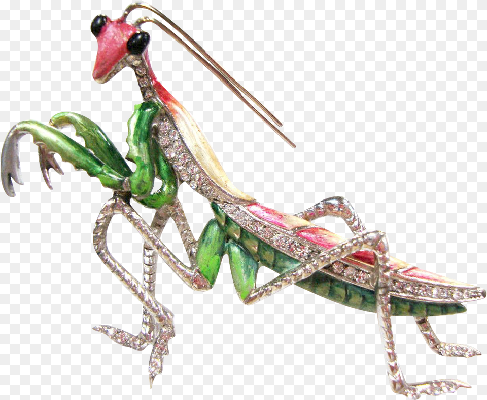 Marcel Boucher Praying Mantis, Animal, Dinosaur, Reptile Png Image