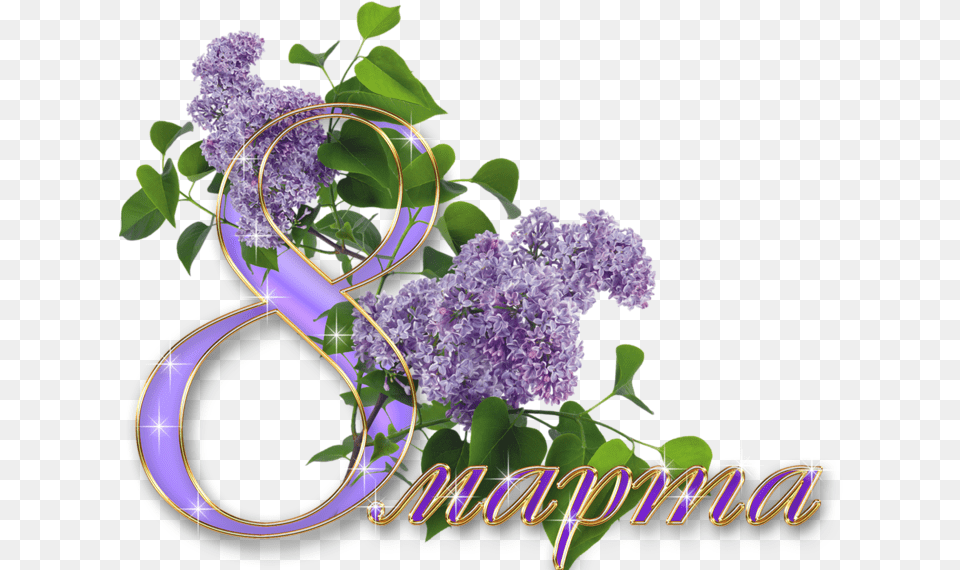 March 8 Marca, Flower, Plant, Lilac Free Png Download