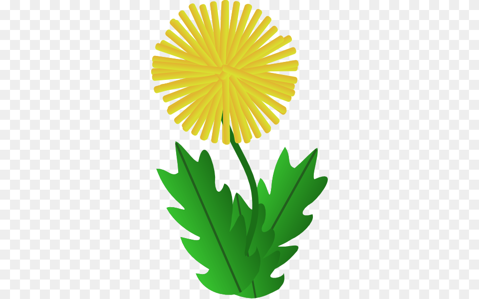 March Clip Art, Flower, Plant, Leaf, Dandelion Free Png