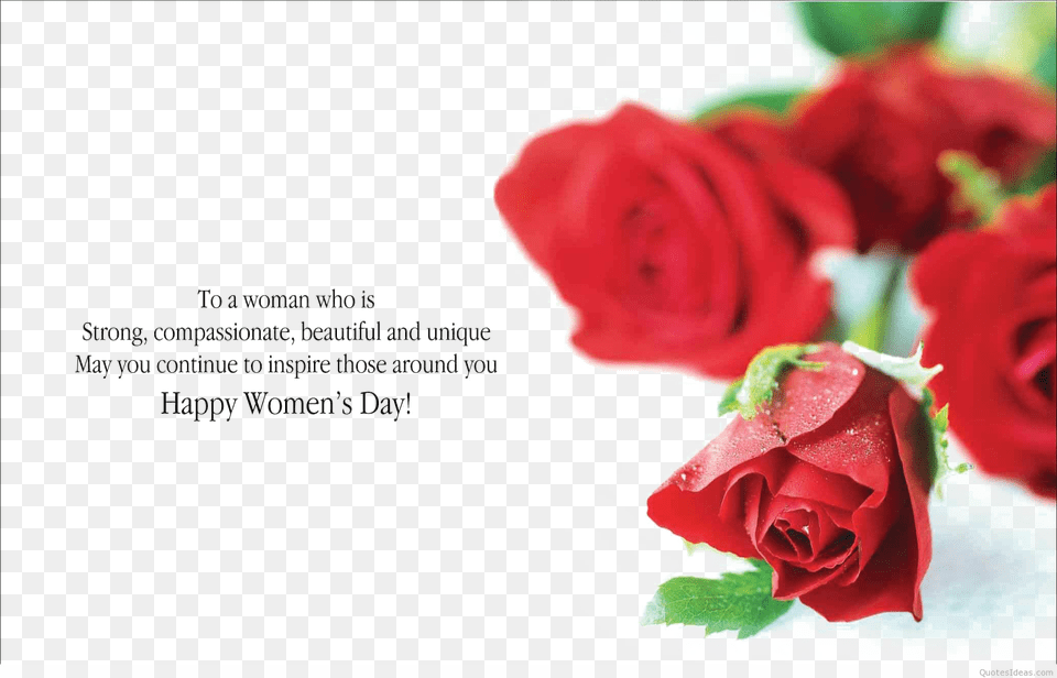 March Free Happy Women39s Day Wife, Flower, Plant, Rose, Petal Png