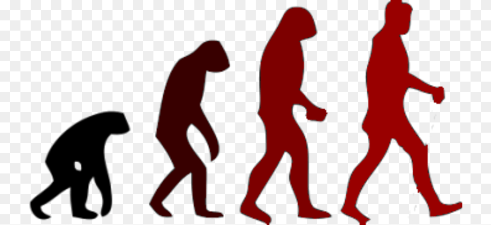 March Of Progress Human Evolution Neanderthal Change Over Time Biology, Person, Walking, Baby Png Image