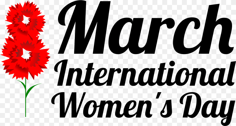 March Womens Day International Day, Flower, Plant, Daisy, Carnation Free Png Download