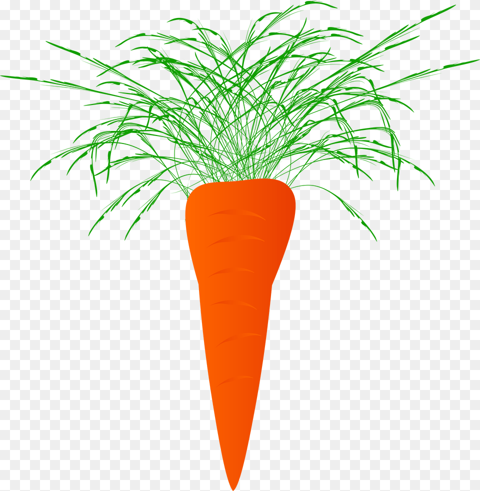 Marchewka Clipart Carrot, Food, Plant, Produce, Vegetable Free Transparent Png