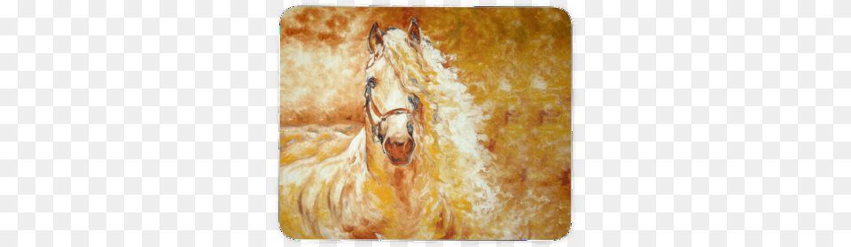 Marcia Baldwin, Art, Painting, Animal, Colt Horse Free Png Download
