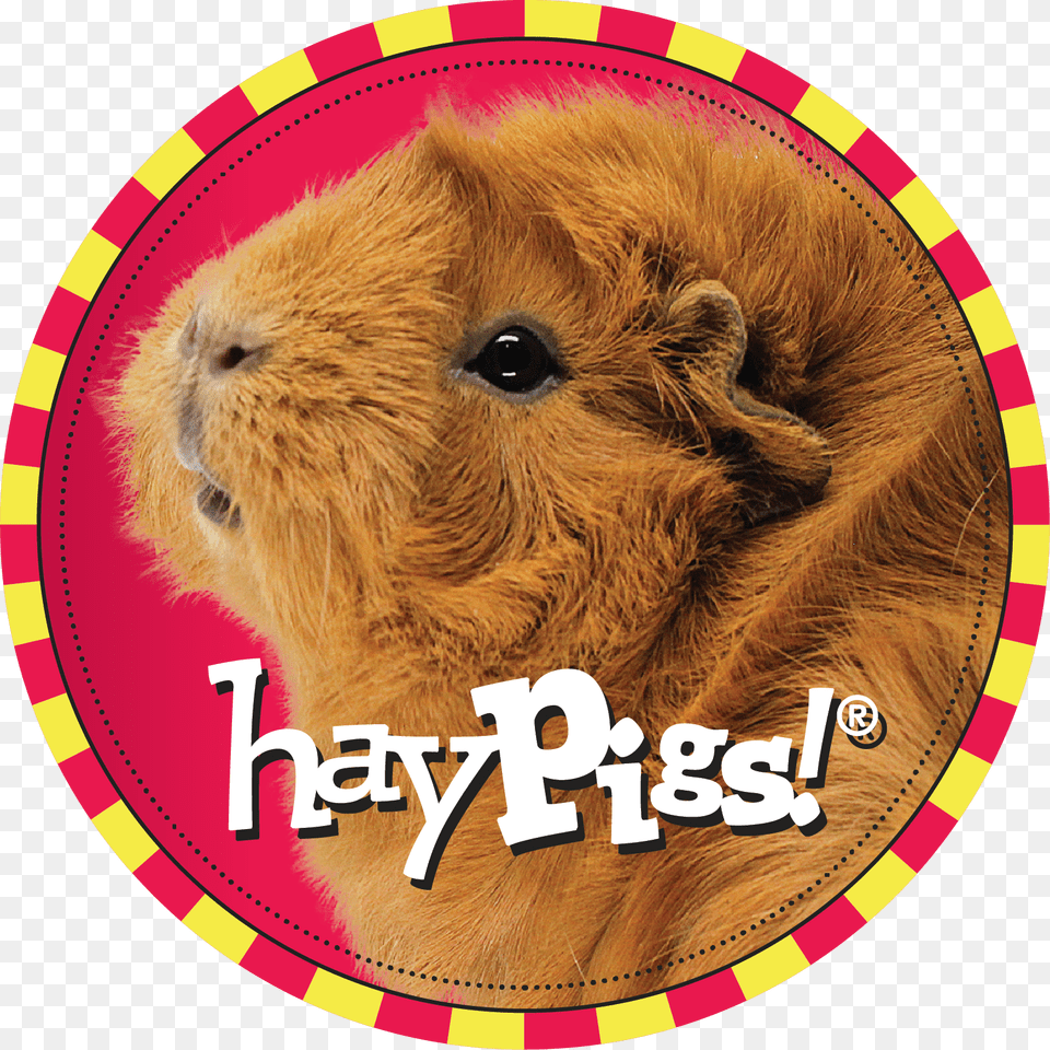 Marcia Fries Haypigs Limited, Animal, Mammal, Rat, Rodent Png Image