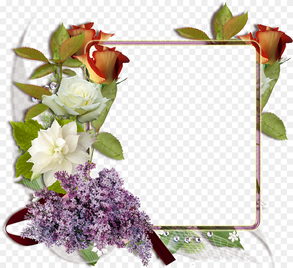 Marco De Boda, Flower, Flower Arrangement, Flower Bouquet, Plant Png