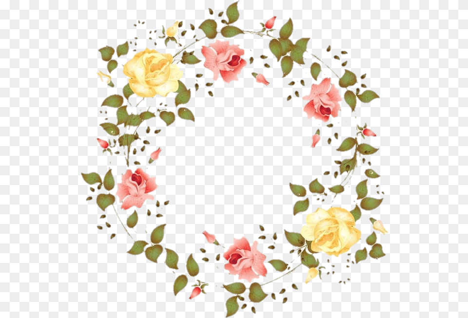 Marco De Flores Redondo, Flower, Petal, Plant, Rose Png