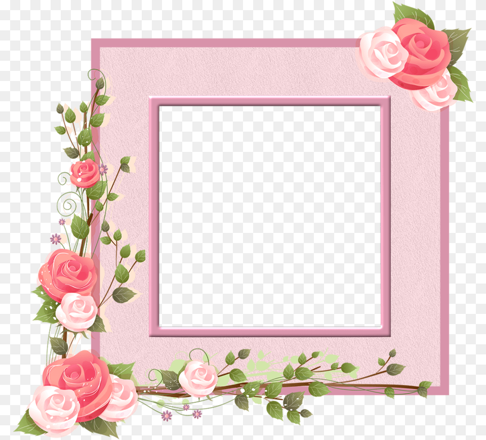 Marco De Flores Transparent Pink Flower Corner, Plant, Rose, Blackboard Png