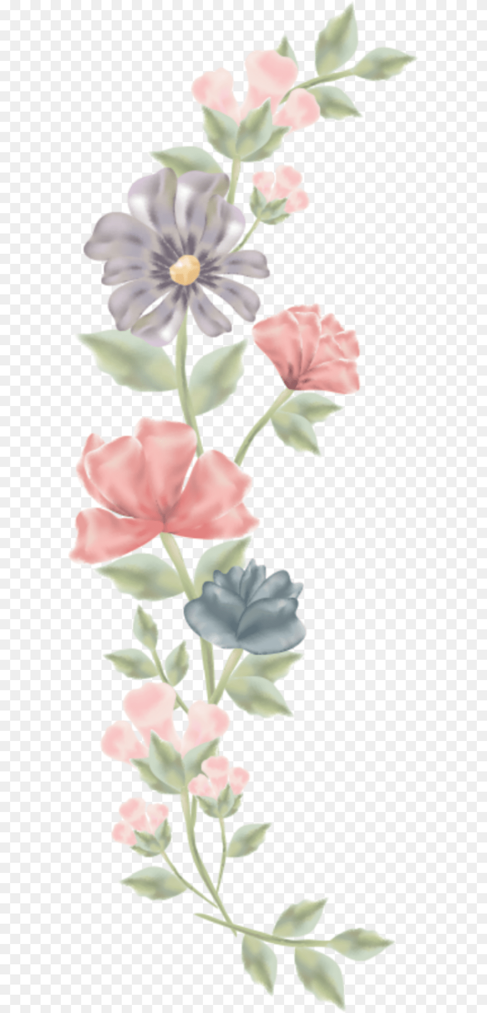 Marco De Flores Vector Wedding Card Flower, Pattern, Petal, Plant, Art Png