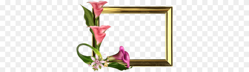 Marco De Fotos Con Flores, Flower, Flower Arrangement, Plant, Flower Bouquet Png Image