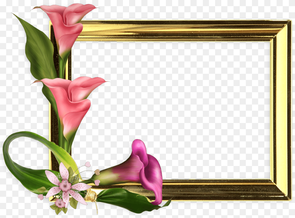 Marco De Fotos Con Flores Mothers Day Frame, Flower, Flower Arrangement, Plant, Flower Bouquet Png