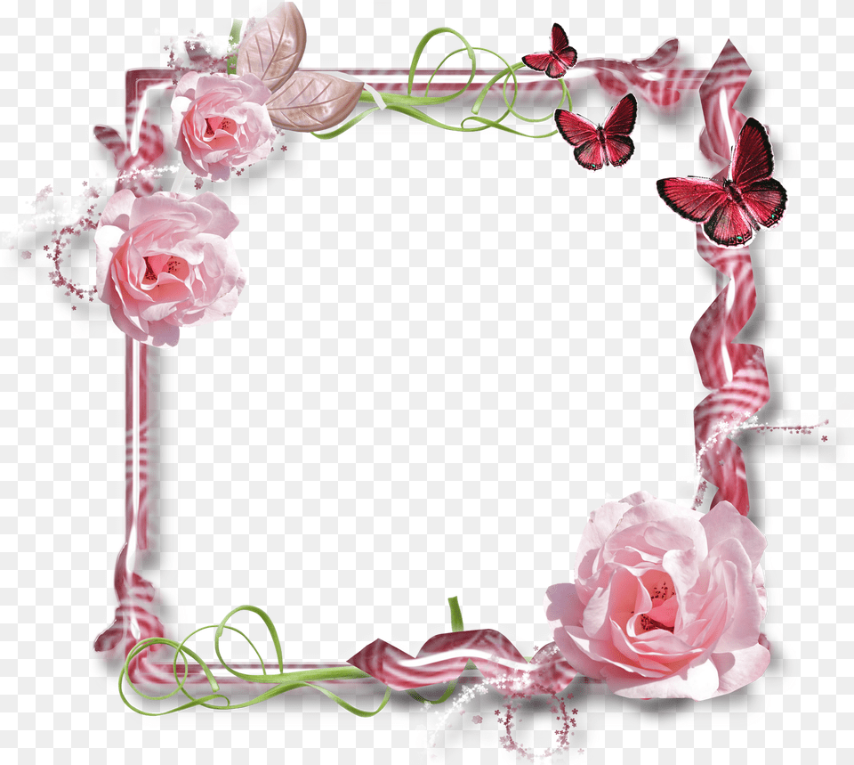 Marco De Mariposas Rosadas, Flower, Plant, Rose Free Png