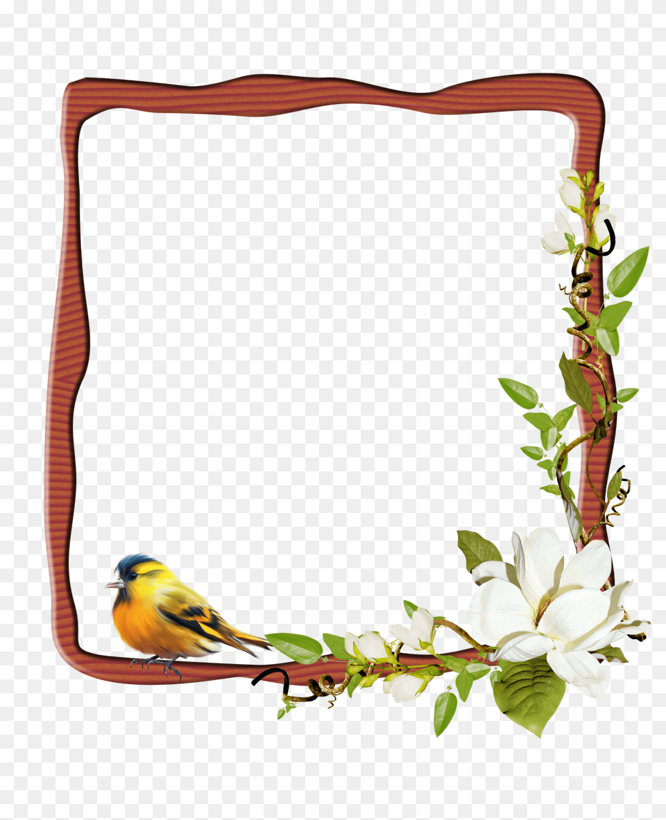 Marco Para Personalizar Con Tu Foto Frames Frame, Animal, Bird, Finch, Flower Free Png Download