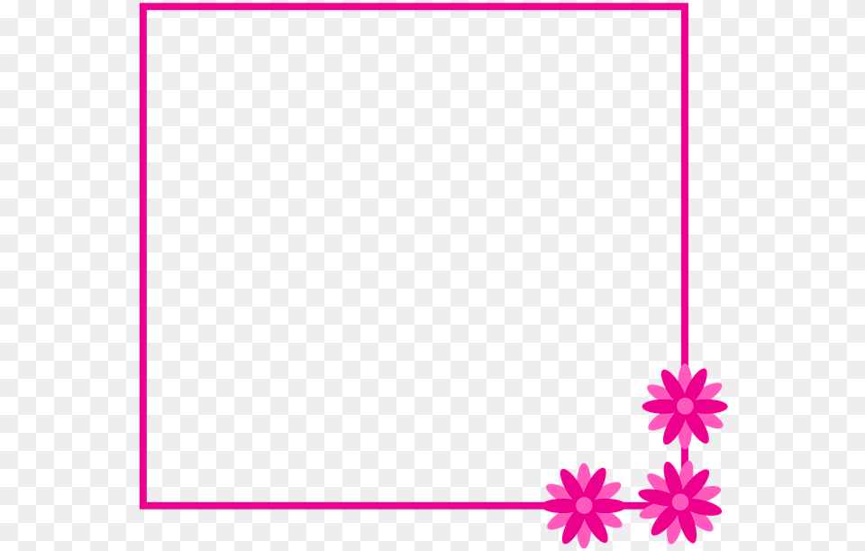 Marco Venta De Entradas Rosa Flores Flor Entradas Vermelho Com Branco, Dahlia, Flower, Plant, Purple Png Image