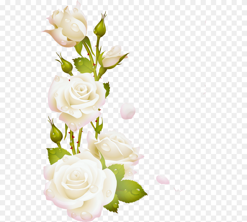 Marcos De Flores Blancas, Flower, Flower Arrangement, Flower Bouquet, Plant Free Transparent Png