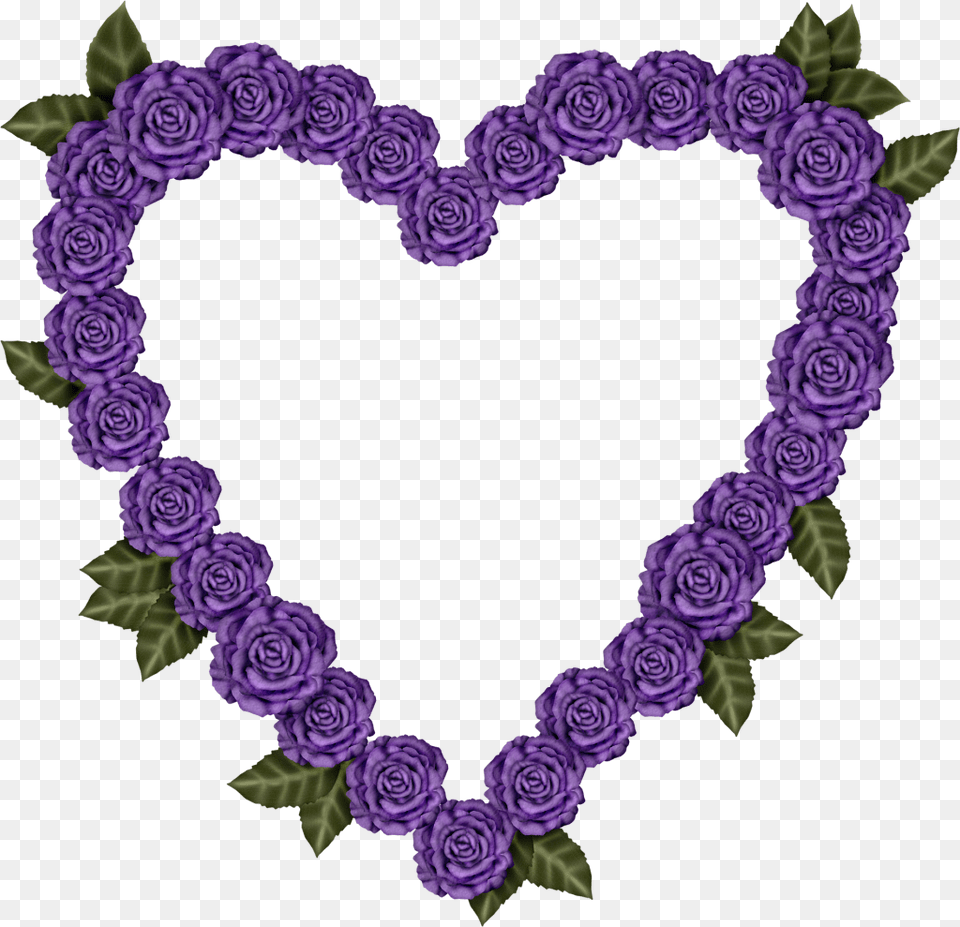 Marcos De Flores En Forma De Corazon, Pattern, Purple, Rose, Plant Png Image