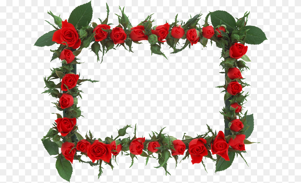 Marcos De Fotos De Flores Para Imprimir Shab E Barat Date 2017, Flower, Plant, Rose, Flower Arrangement Free Png