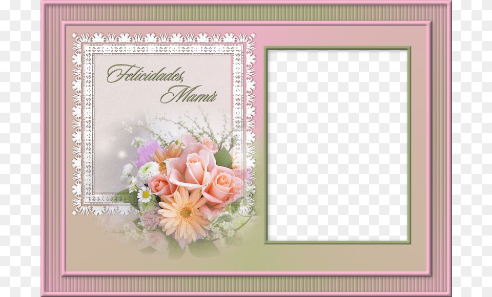 Marcos Dia De La Madre, Rose, Envelope, Plant, Flower Free Png