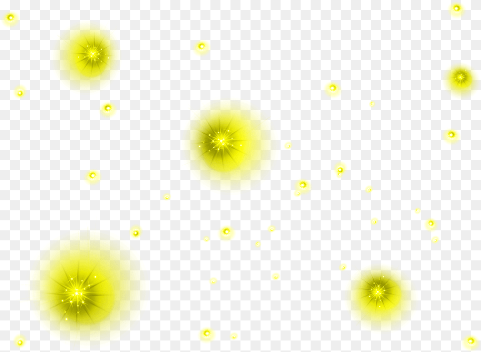 Marcos Gratis Para Fotos Flower, Lighting, Pattern, Green Free Png Download