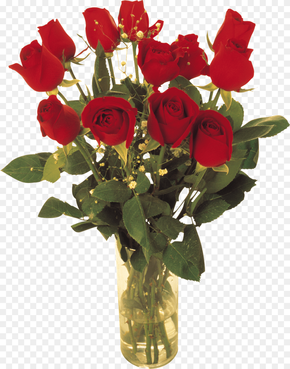 Marcos Gratis Para Fotos Red Roses, Flower, Flower Arrangement, Flower Bouquet, Plant Free Png