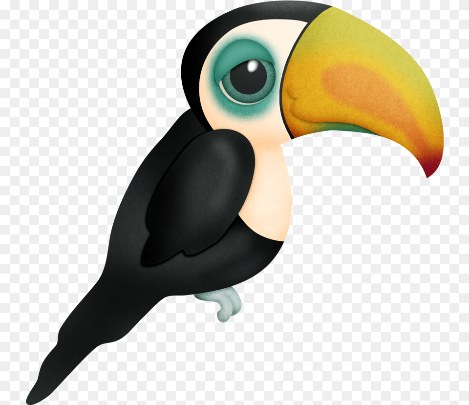 Marcos Gratis Para Fotos Scrap Animales Y Objetos Drawing Pictures Of Animals And Birds, Animal, Beak, Bird, Toucan Png