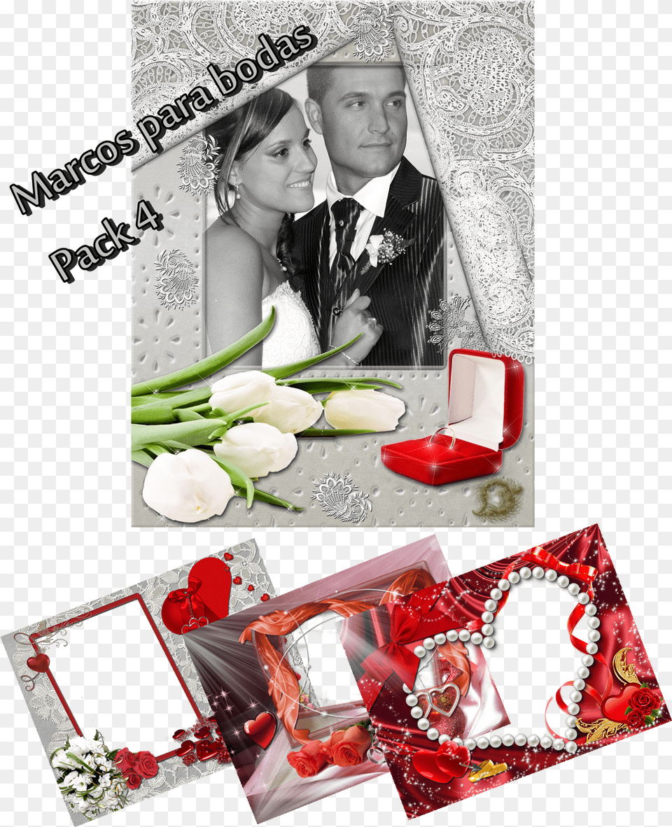 Marcos Para Bodas Hd Rose, Art, Collage, Plant, Flower Free Transparent Png