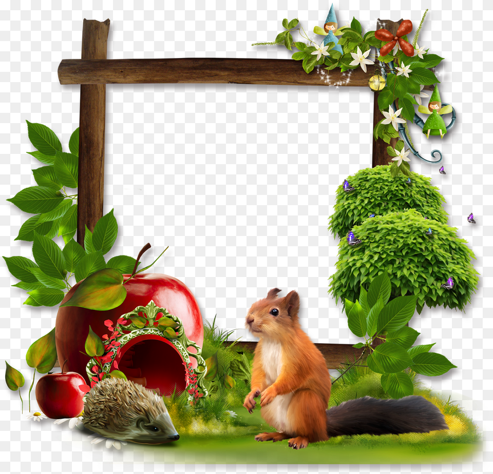 Marcos Para Fotos De Animales Picture Frame, Animal, Mammal, Monkey, Wildlife Free Png Download