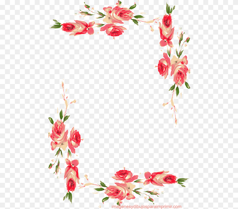 Marcos Rosas Garden Roses, Art, Floral Design, Graphics, Pattern Png