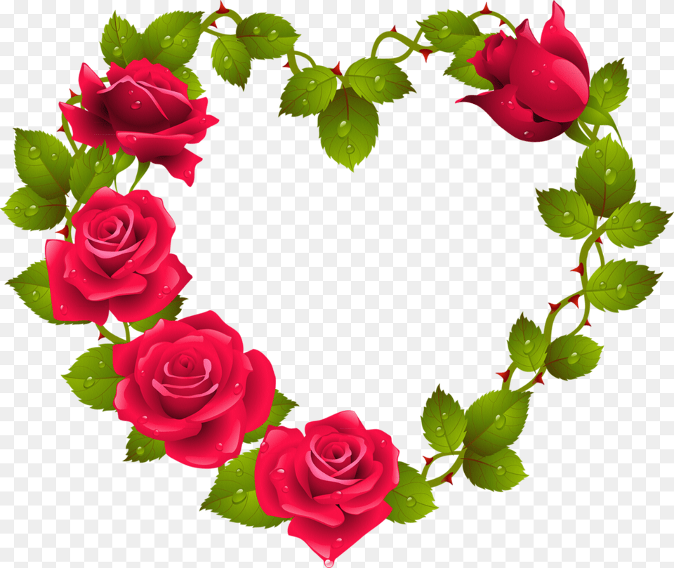 Marcos Rosas Rojas Image, Flower, Plant, Rose, Petal Free Png