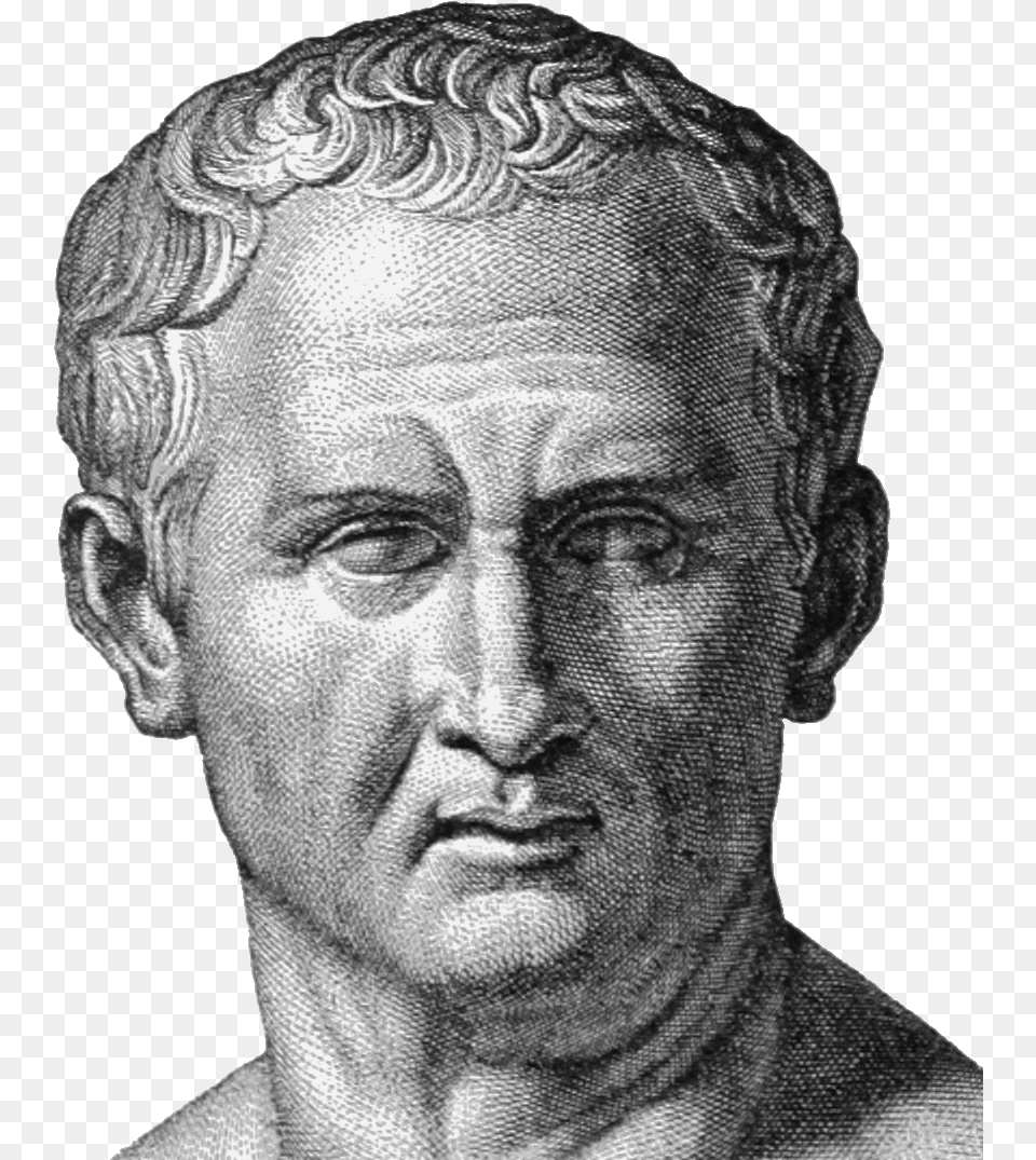 Marcus Cicero, Adult, Photography, Person, Man Free Png