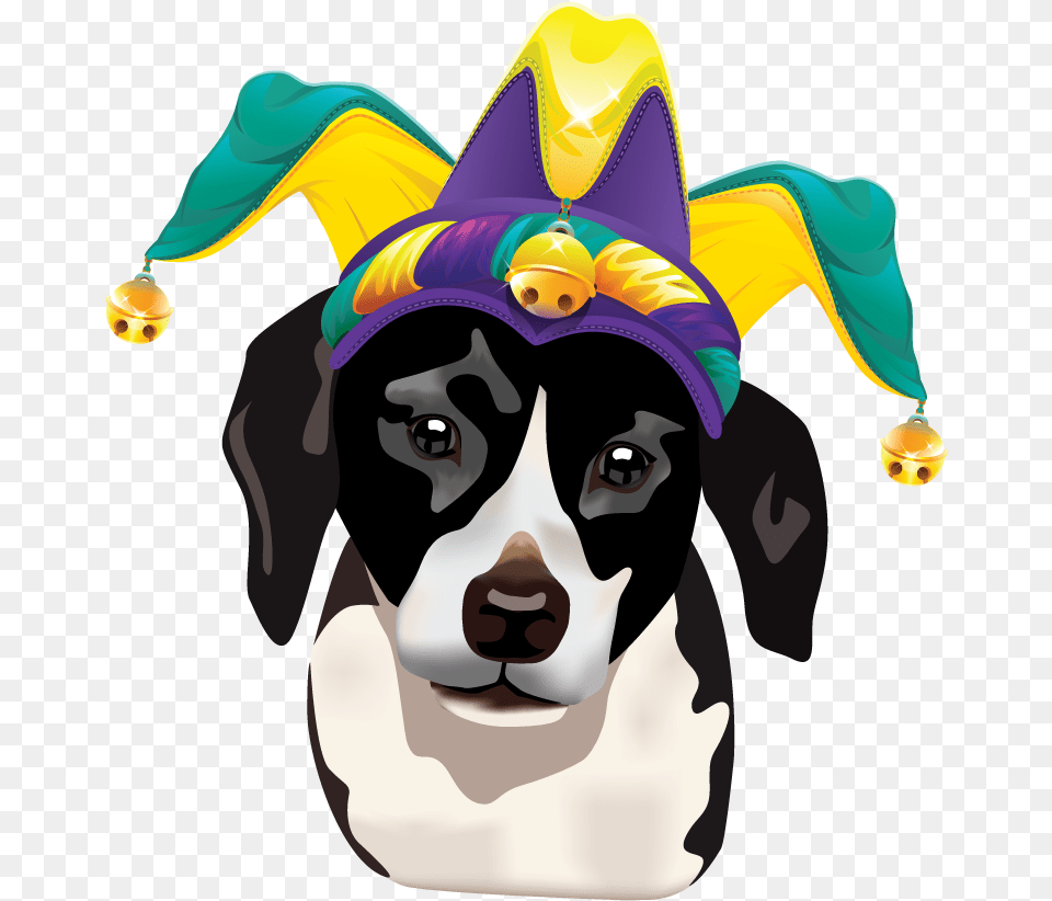 Mardi Gras Dog Clipart, Hat, Clothing, Baby, Person Free Transparent Png