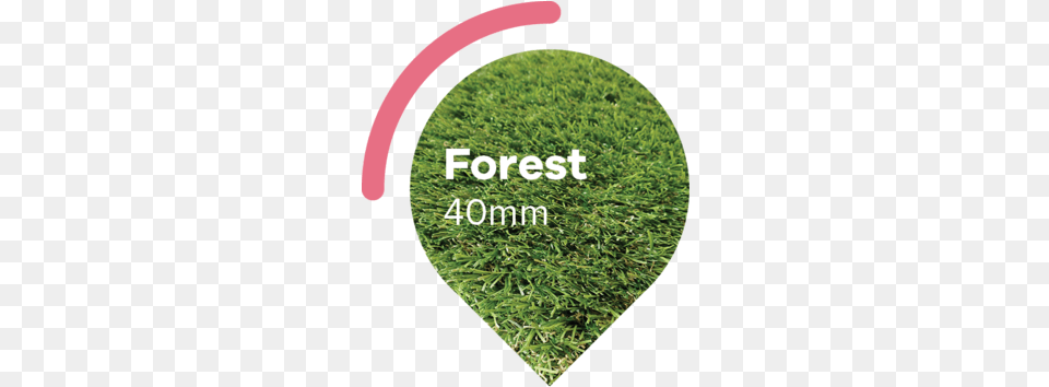 Mardigrass Lawn, Grass, Plant, Moss Free Png