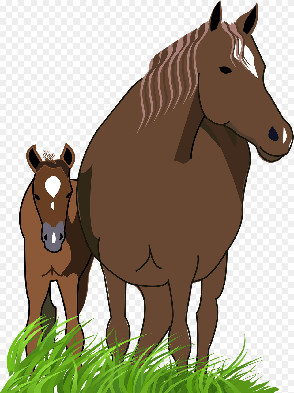 Mare And Foal Clipart, Animal, Colt Horse, Horse, Mammal Free Transparent Png