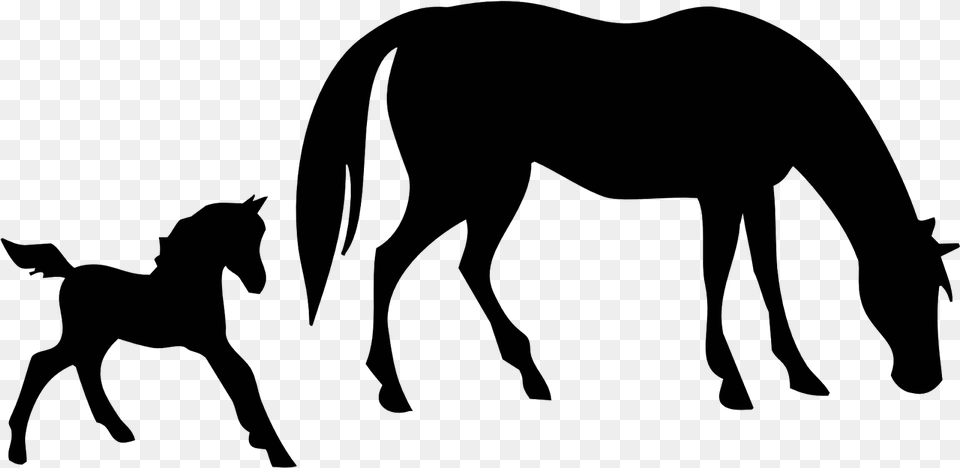 Mare And Foal Horse Clipart, Silhouette, Animal, Mammal Free Transparent Png